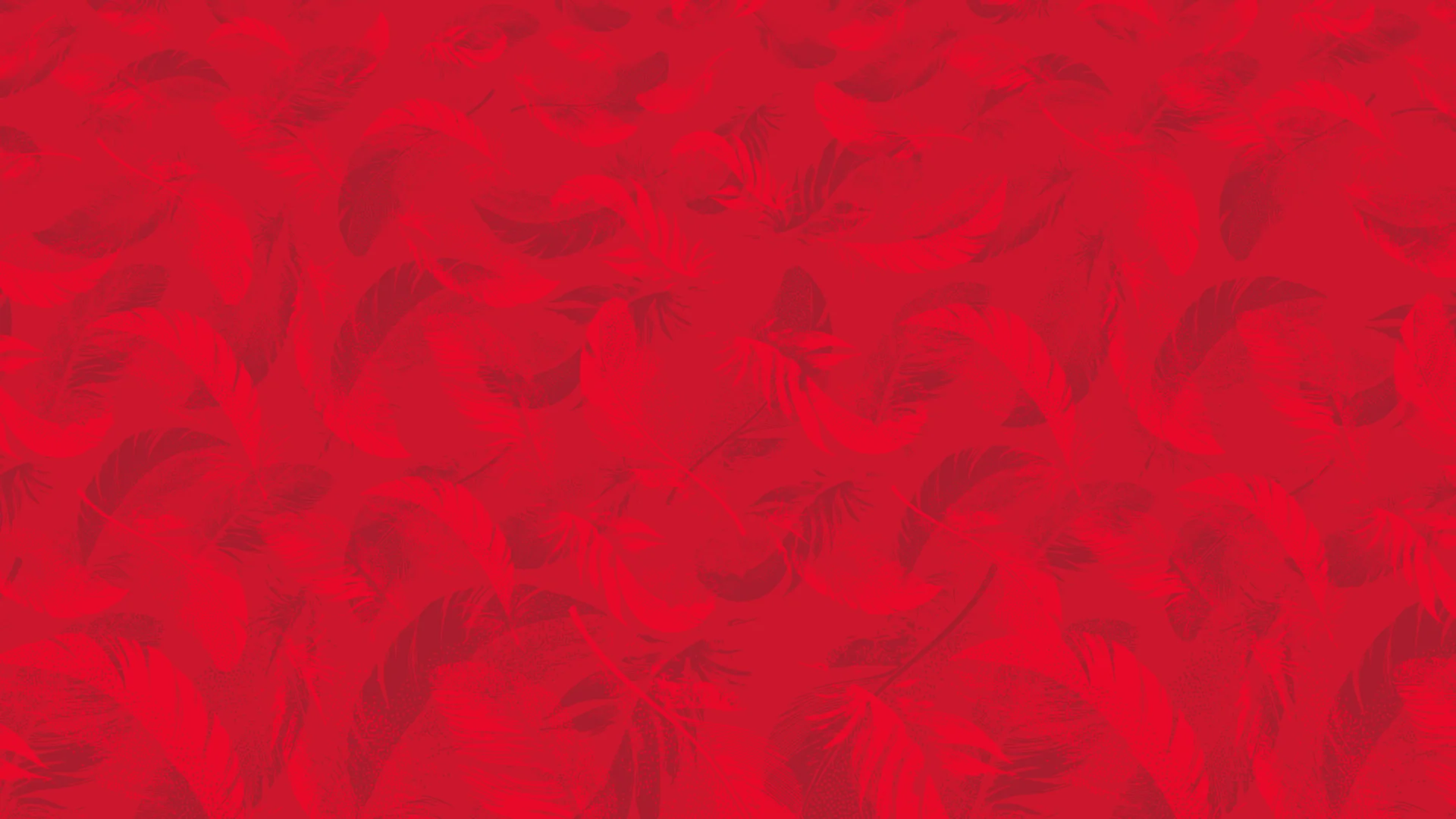 Wear the Red and White