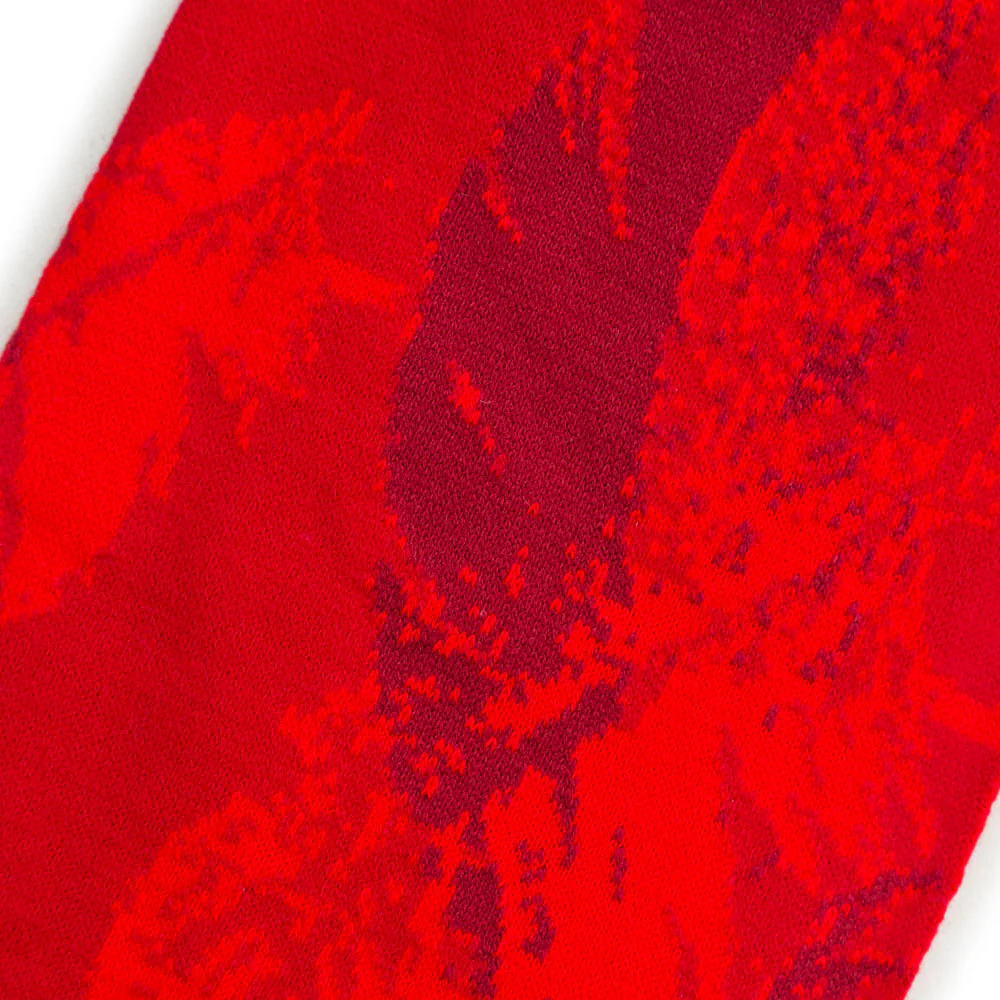 2026 RED ROBIN ALTERNATE KIT SCARF - Image 2